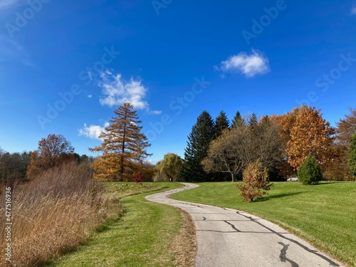 tranquil scenic path in autumn