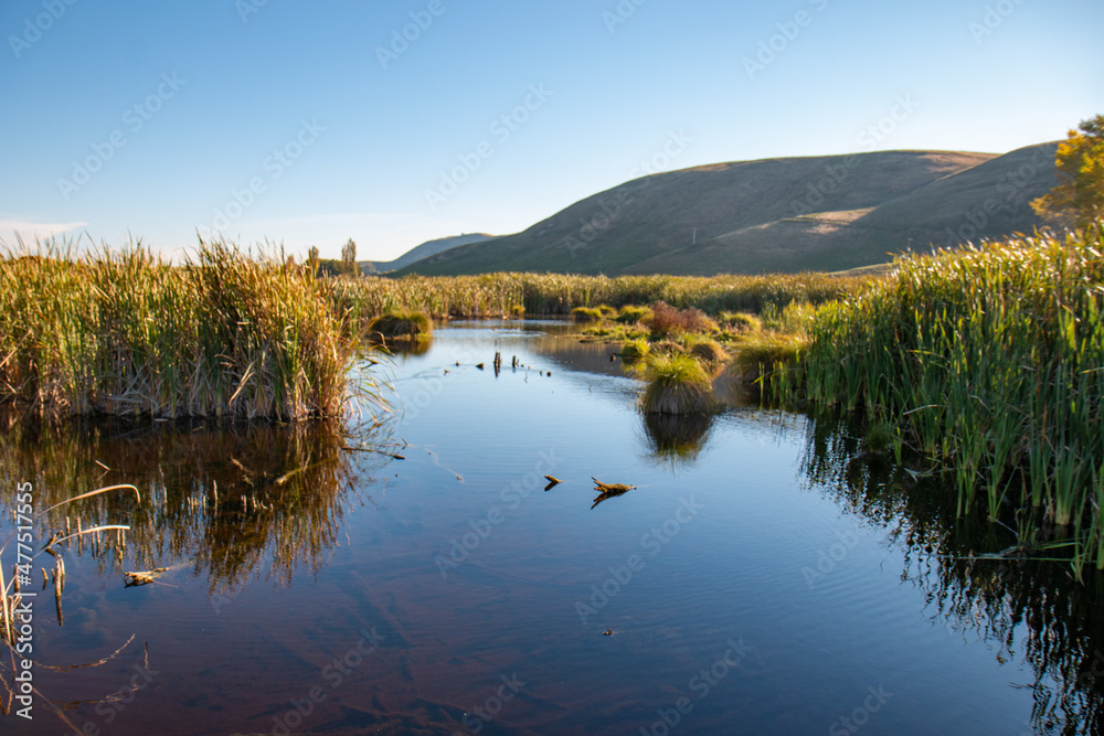 Wetland in Pekapeka Regional Park, Hawkes Bay, New Zealand