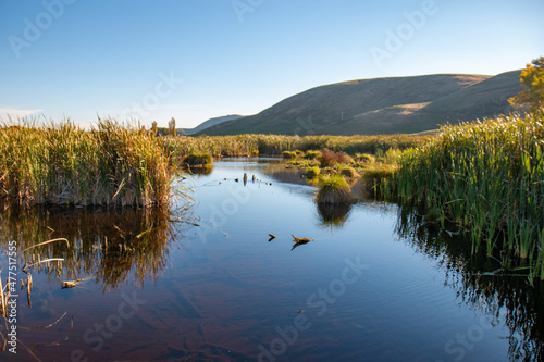 Wetland in Pekapeka Regional Park, Hawkes Bay, New Zealand