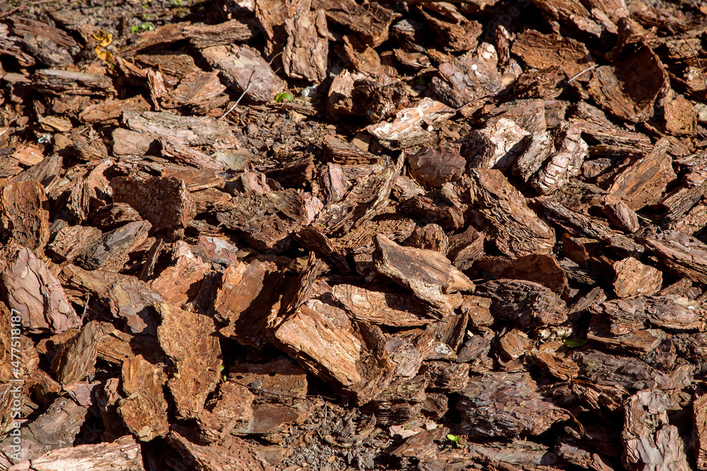 pine tree bark mulching heap of pieces of wood compost for gardening and landscape care, eco raw surface texture, nobody.