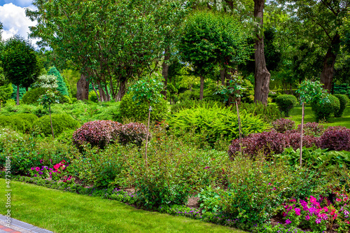 flower bed with bushes and blossom flowers in trees park with an iron drainage system grate in a garden with a landscape design on a sunny summer day, nobody.