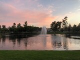 Beautiful blue and pink sunset over the lake with trees, ducks, grass, park and water fountain.