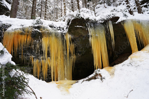 Beautiful colourful natural icefall with icicles (Brtnicke ledopady), popular tourist attraction in Czech Republic in winter time