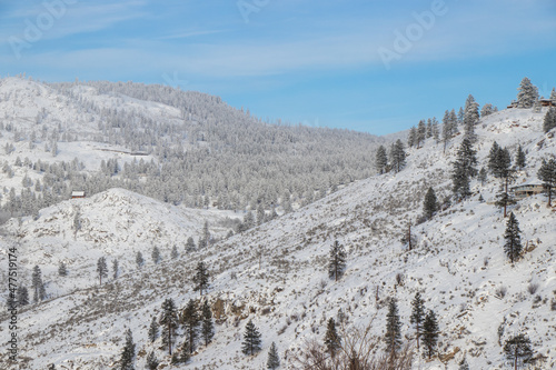 Anarchist Mountain in December