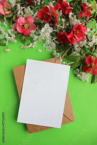 spring time. spring greeting card. flowering branches with white flowers and space for text 