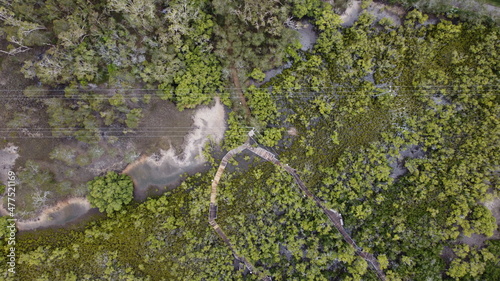 Rainforest aerial view