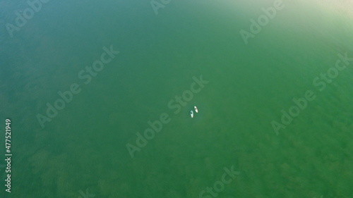 Aerial view on surfboards in ocean