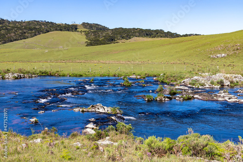 Araucaria forest, River, rocks and fields over mountains