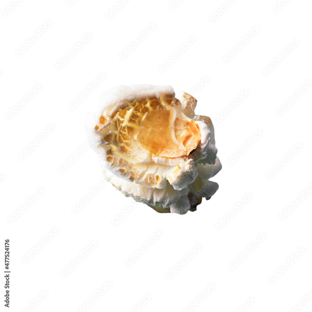  Single delicious salty popcorn isolated on a white background