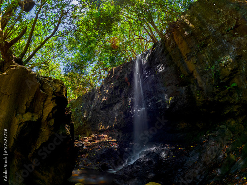Long exposure view of a small waterfall hidden in a forest located in Mauritius