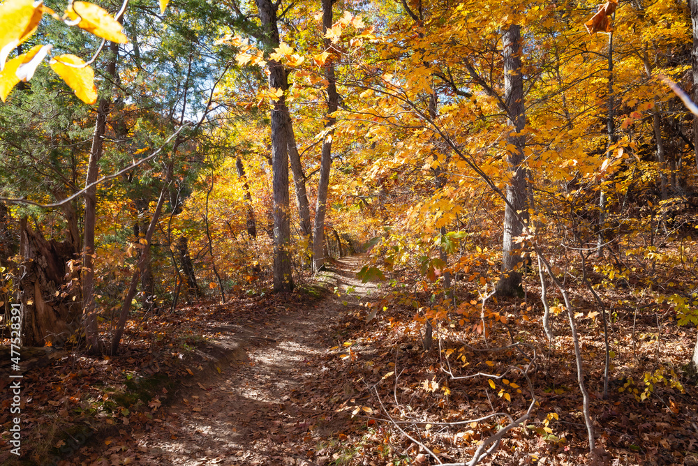 Hiking trail.