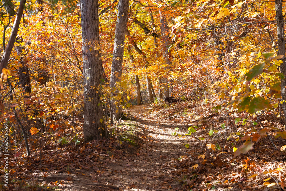 Hiking trail.