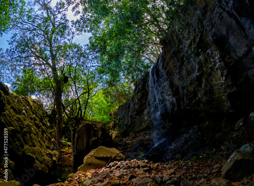 View of a small waterfall hidden in a forest located in Mauritius