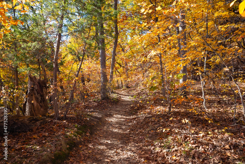 Hiking trail. © EJRodriquez