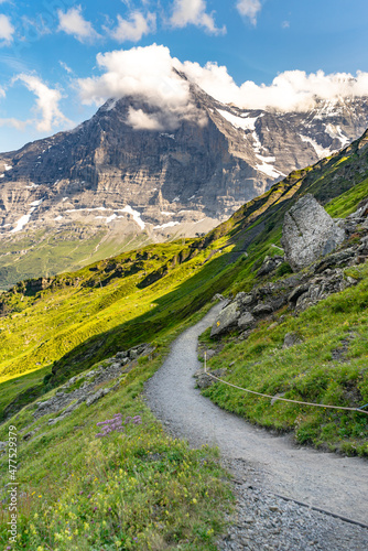 Swiss summer hike scenery, on Eiger trail