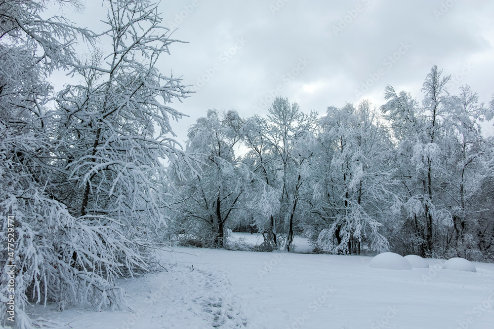 Winter landscape of South Park in city of Sofia, Bulgaria Winter landscape of South Park in city of Sofia, Bulgaria