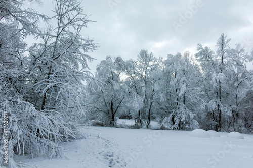 Winter landscape of South Park in city of Sofia, Bulgaria