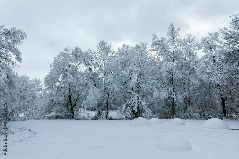 Fototapeta premium Winter landscape of South Park in city of Sofia, Bulgaria