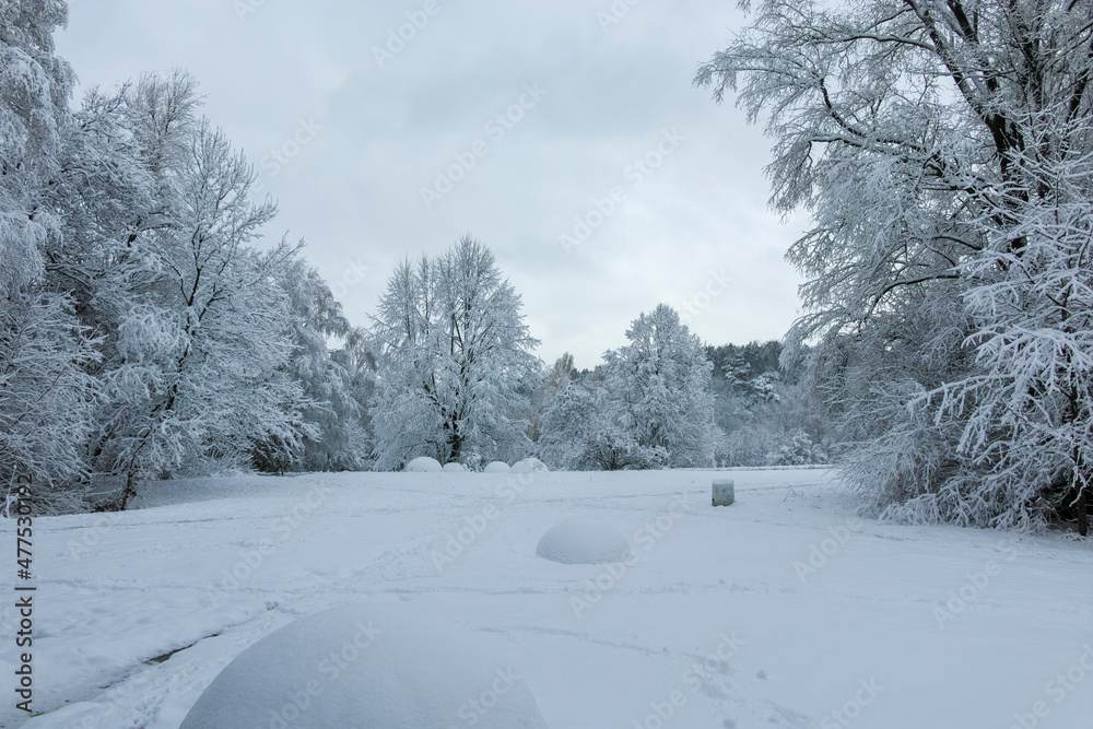 Winter landscape of South Park in city of Sofia, Bulgaria Winter landscape of South Park in city of Sofia, Bulgaria