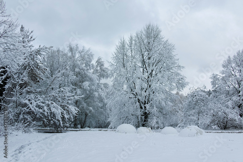 Winter landscape of South Park in city of Sofia, Bulgaria © Stoyan Haytov