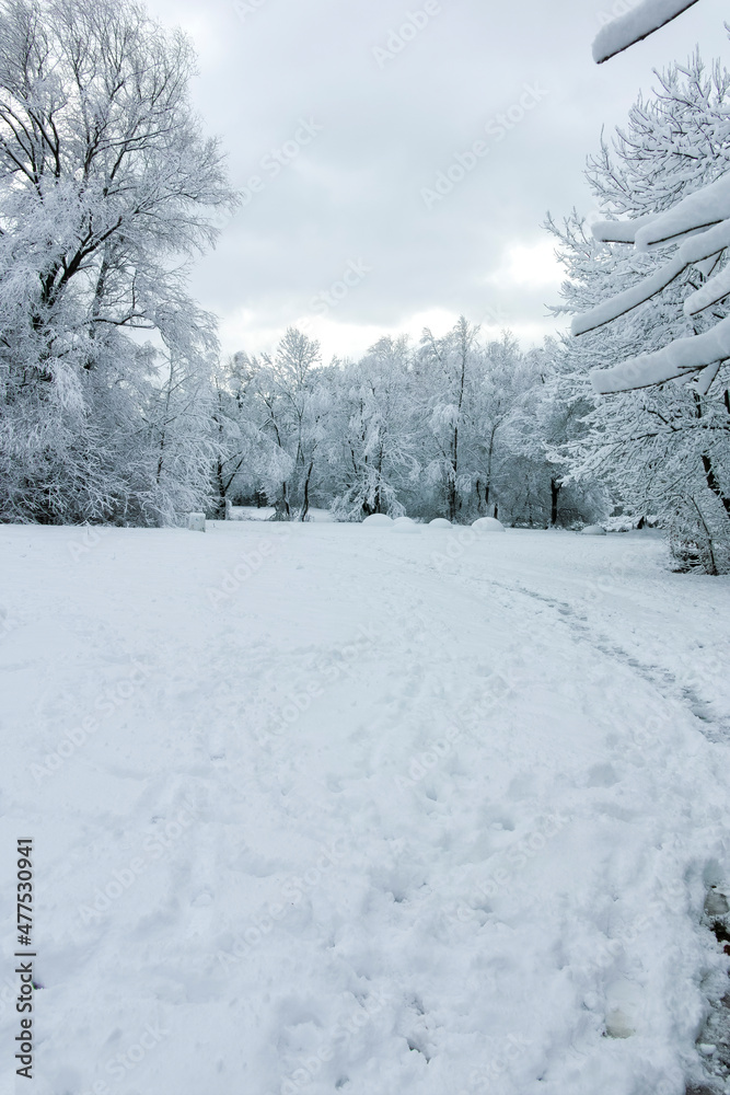 Fototapeta premium Winter landscape of South Park in city of Sofia, Bulgaria