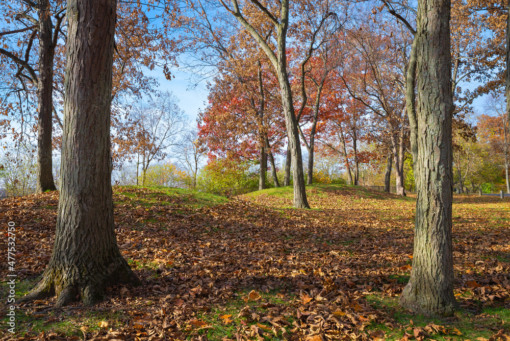 Native American burial mounds.