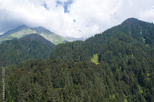 Landscape picture of mountains covered with himalayan cedar and fir trees in himachal pradesh, India