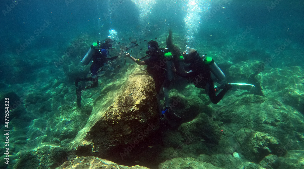Underwater world of Mediterranean Sea. Near Marmaris, Turkey Underwater world of Mediterranean Sea. Near Marmaris, Turkey