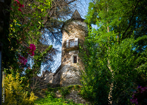 Tower of a partly dilapidated castle seen through foliage
