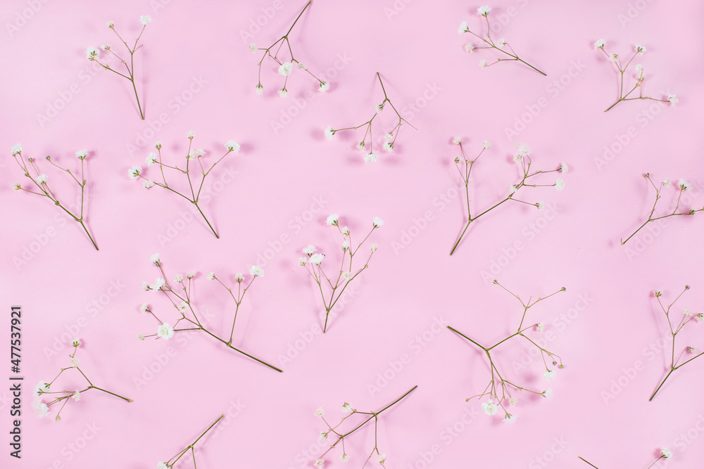Branches with Gypsophila buds on a pink pastel background.