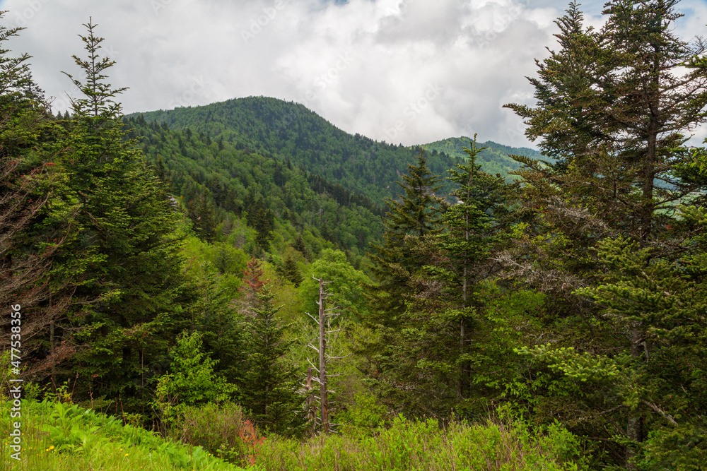 Blue Ridge Parkway Blue Ridge Parkway