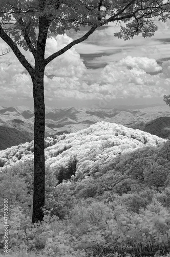 Appalchian Mountains in Infra-Red