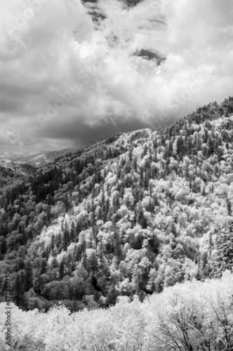 Appalchian Mountains in Infra-Red