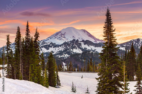 mt. rainier snowcapped pine trees and sunset