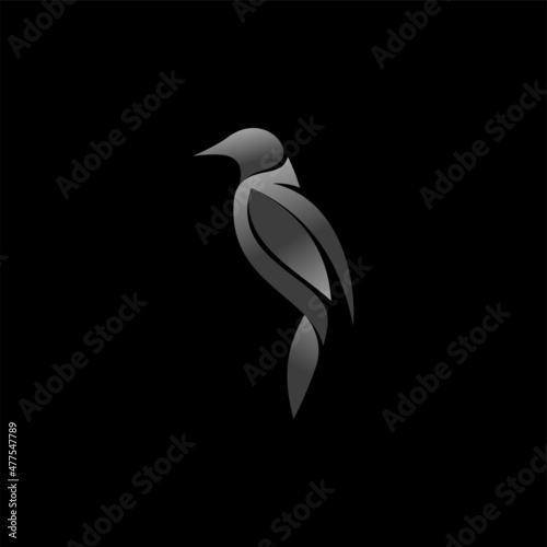 Bird logo vector design template photo