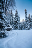 Alaskan cabin with trail in winter.