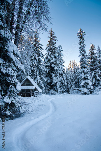 Alaskan cabin with trail in winter. © mscornelius