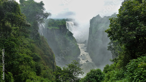 A stormy river flows along the bottom of a narrow gorge. Streams of Victoria Falls are collapsing from the steep slopes. Thick fog over the abyss. Lush green vegetation around. Zimbabwe