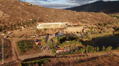 Aerial view of a vineyard near a lake in Valle de Guadalupe. photo