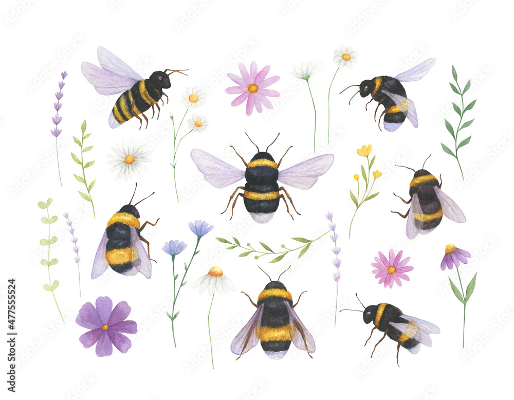 Bee watercolor illustration with wildflowers collection isolated. Perfect for cards, prints. Summer insects watercolor.