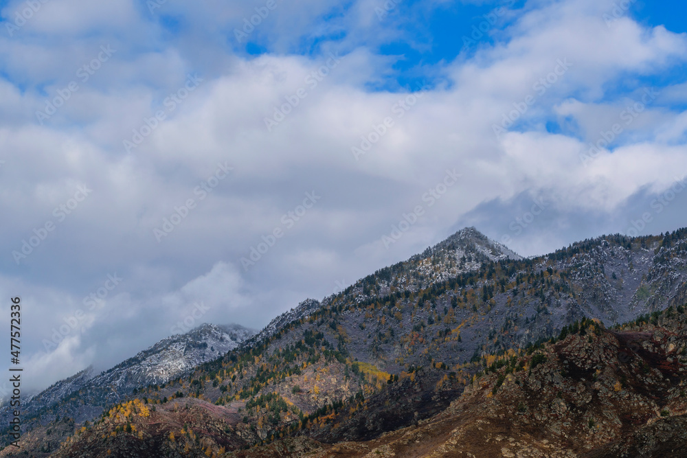 First snow at tops of mountains. The peaks of rocky mountains overgrown with spruce, pine, birch and aspen were covered with the first snow.