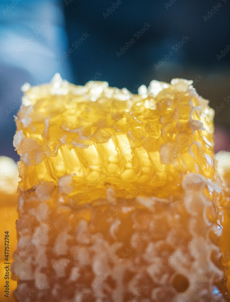Honeycomb and honey dipper with liquid honey. Selective focus. Dark background, studio image. Organic vegan raw dessert. Honeycomb and honey dipper with liquid honey. Selective focus. Dark background, studio image. Organic vegan raw dessert.