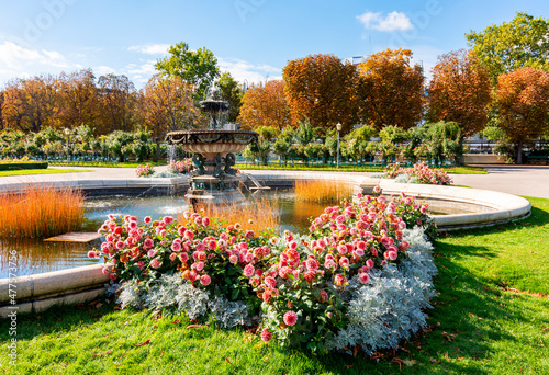 Fototapeta Naklejka Na Ścianę i Meble -  Dahlia flowers and fountain in Volksgarten park, Vienna, Austria
