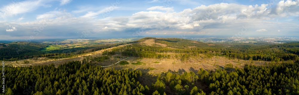 Waldsterben im Taunus durch den Klimawandel, Borkenkäfer und Trockenheit, Hessen Deutschland