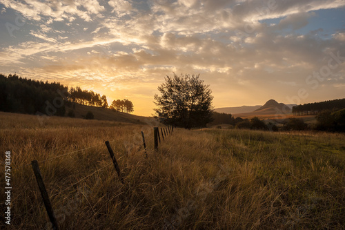 A rural landscape with fields of grass, trees, a fence and a dramatic cloudy golden sunset, Midlands, Kwa Zulu Natal, South Africa