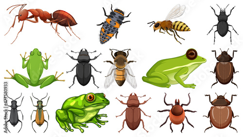 Different insects collection isolated on white background