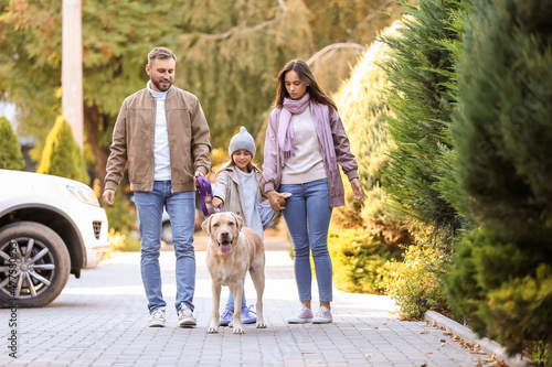 Happy family with cute Labrador dog walking on street