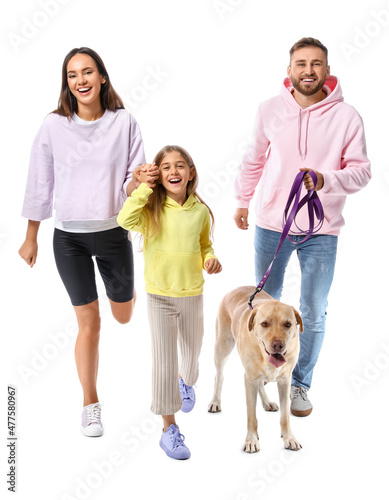 Happy parents with cute little daughter and Labrador dog on white background