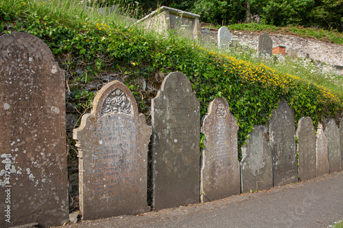 Row of old gravestones behind green wall at English church St Petrox in Devon photo