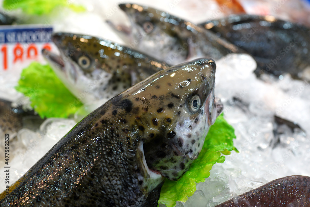 Fresh salmon fish on ice in a market stall
